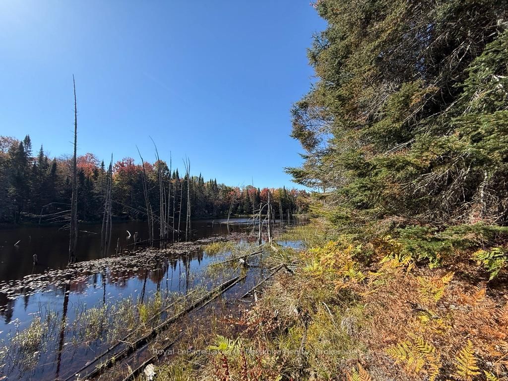 1118 Stoney Road • Ryerson, ON photo 25