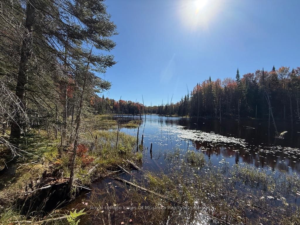 1118 Stoney Road • Ryerson, ON photo 26