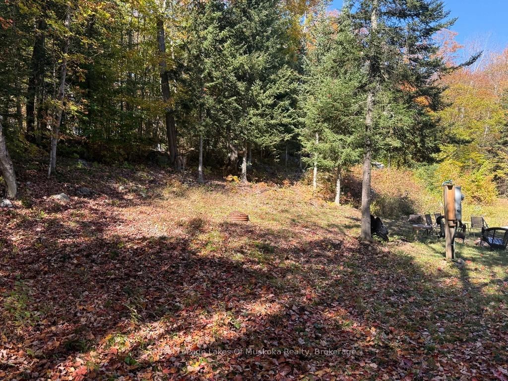 1118 Stoney Road • Ryerson, ON photo 4