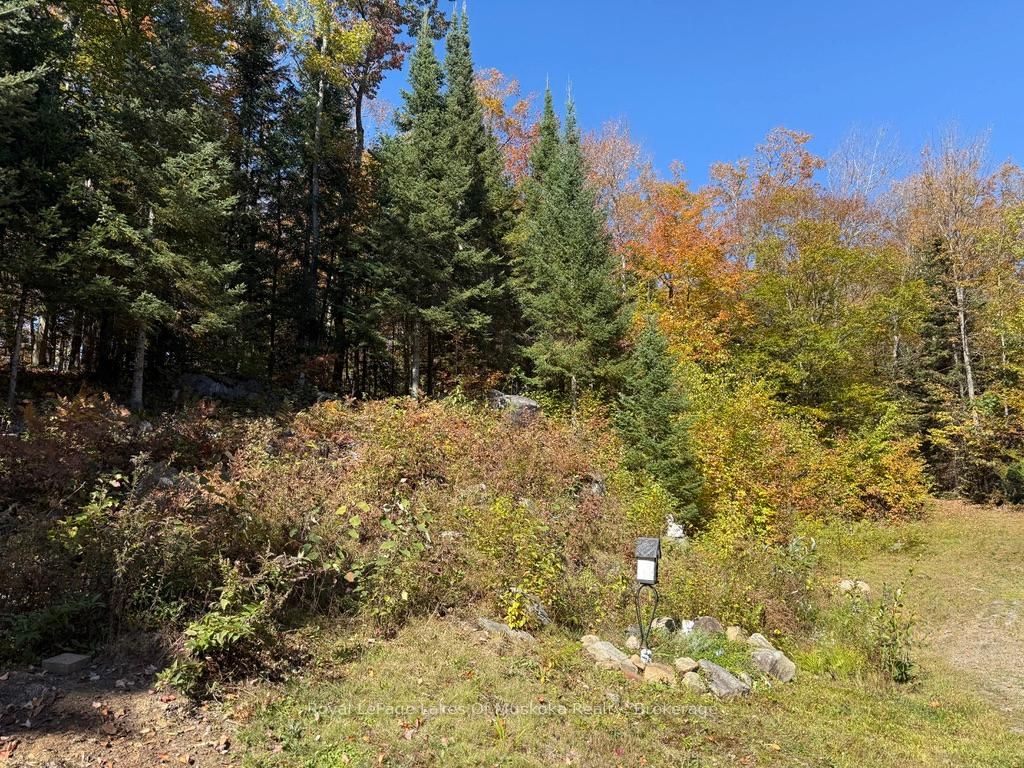 1118 Stoney Road • Ryerson, ON photo 5