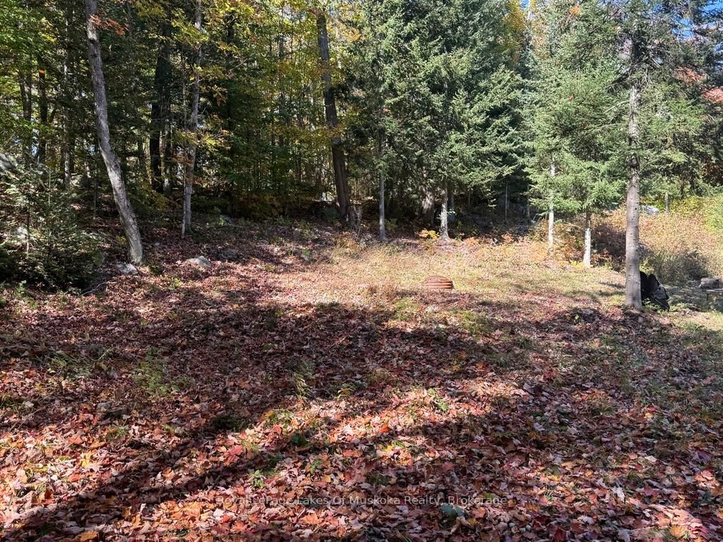 1118 Stoney Road • Ryerson, ON photo 6