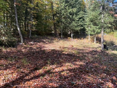 1118 Stoney Road • Ryerson, ON photo 6