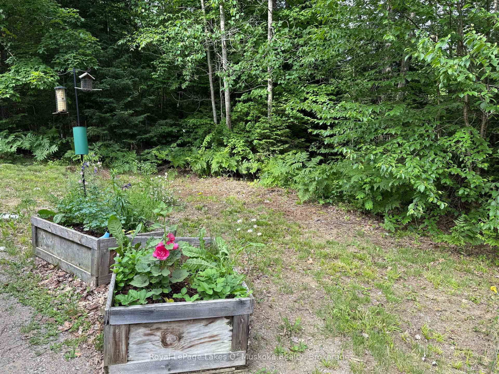 1118 Stoney Road • Ryerson, ON photo 9