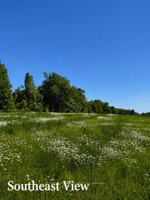 PL 15 Base Line