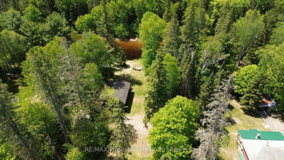 46 ROBERT Road W • Huntsville, ON photo 5