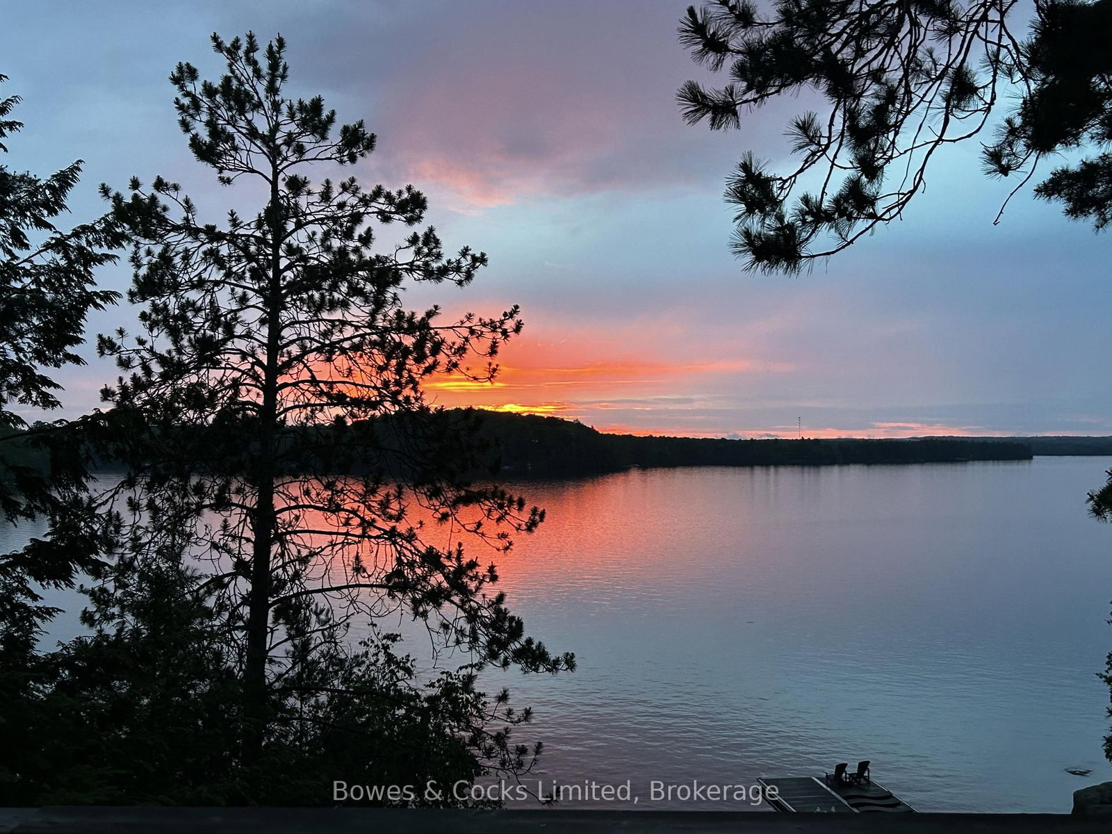 92 Brock Road • North Kawartha, ON photo 37