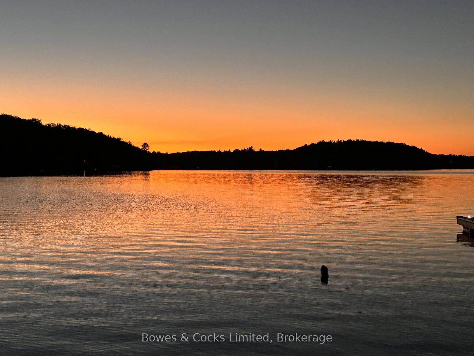 92 Brock Road • North Kawartha, ON photo 38
