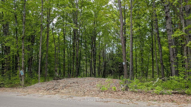 Lot 2 Tally-Ho Winter Park Road