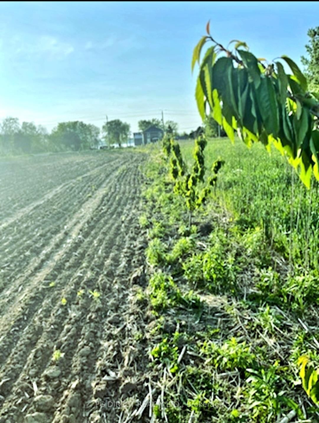 329 County Rd 3 Road • Prince Edward County, ON photo 11