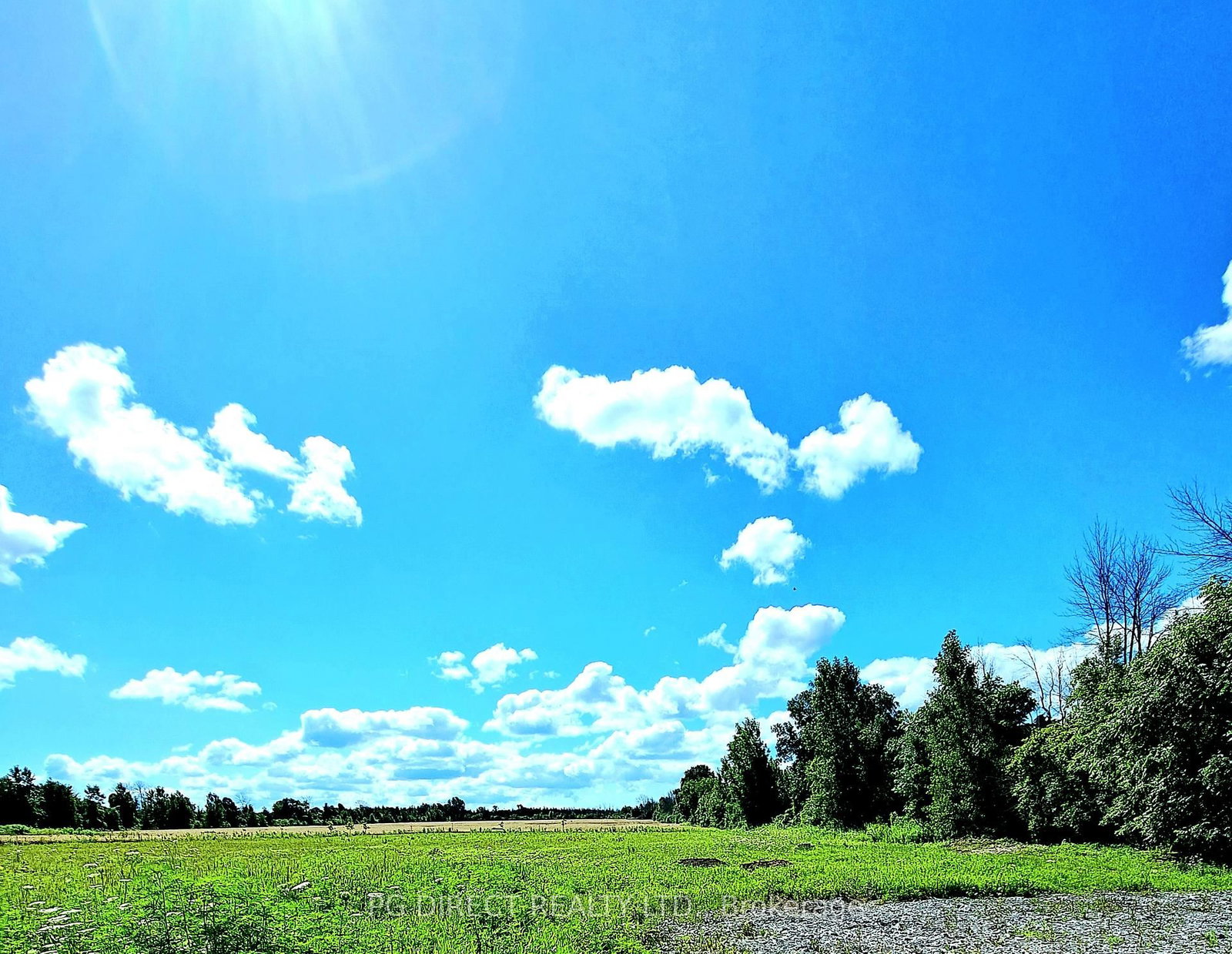 329 County Rd 3 Road • Prince Edward County, ON photo 12
