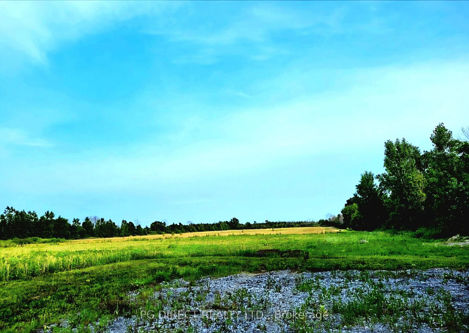 329 County Rd 3 Road • Prince Edward County, ON photo 2