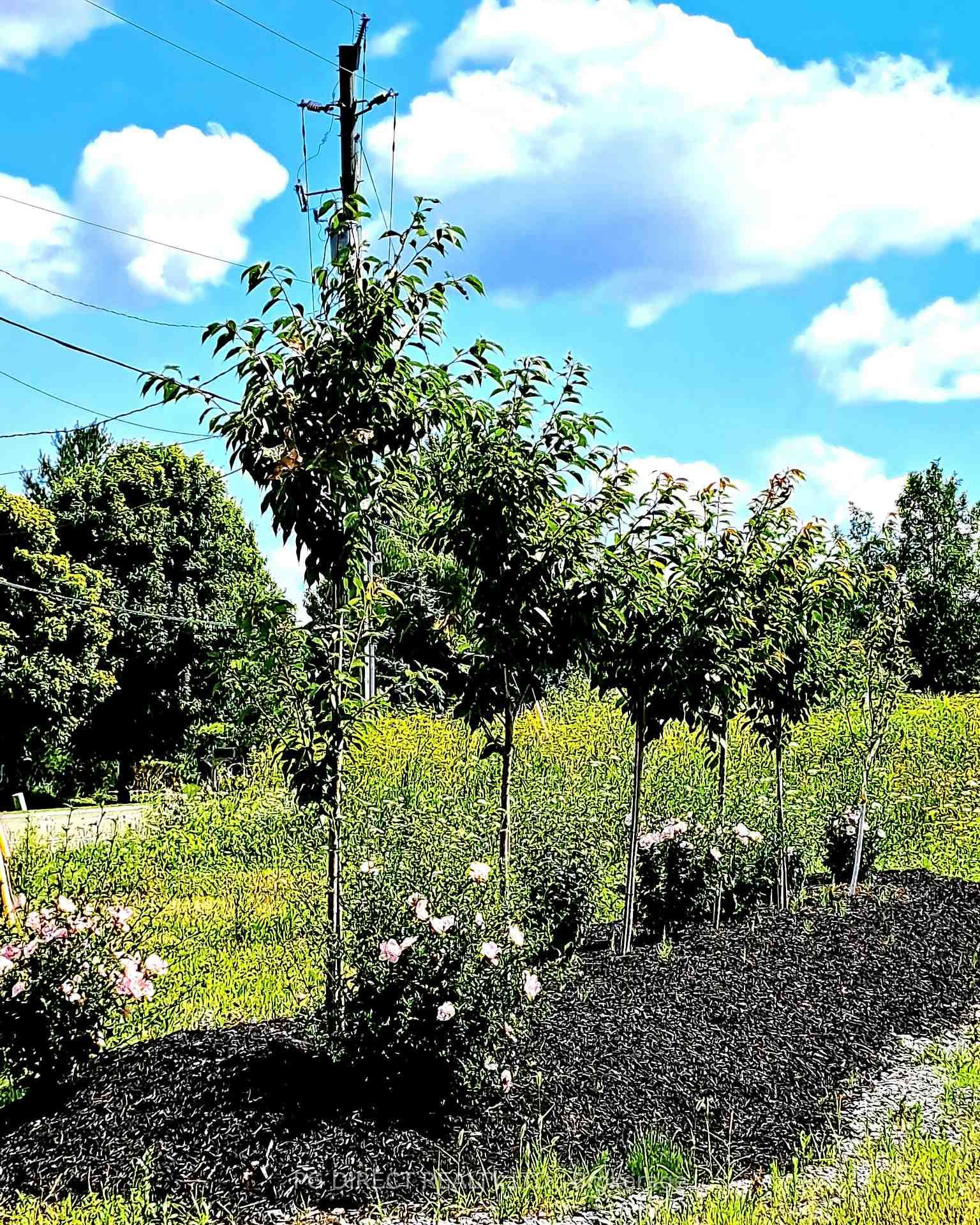 329 County Rd 3 Road • Prince Edward County, ON photo 6