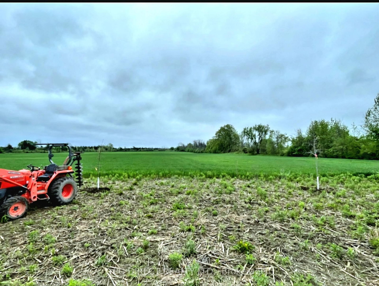 329 County Rd 3 Road • Prince Edward County, ON photo 7