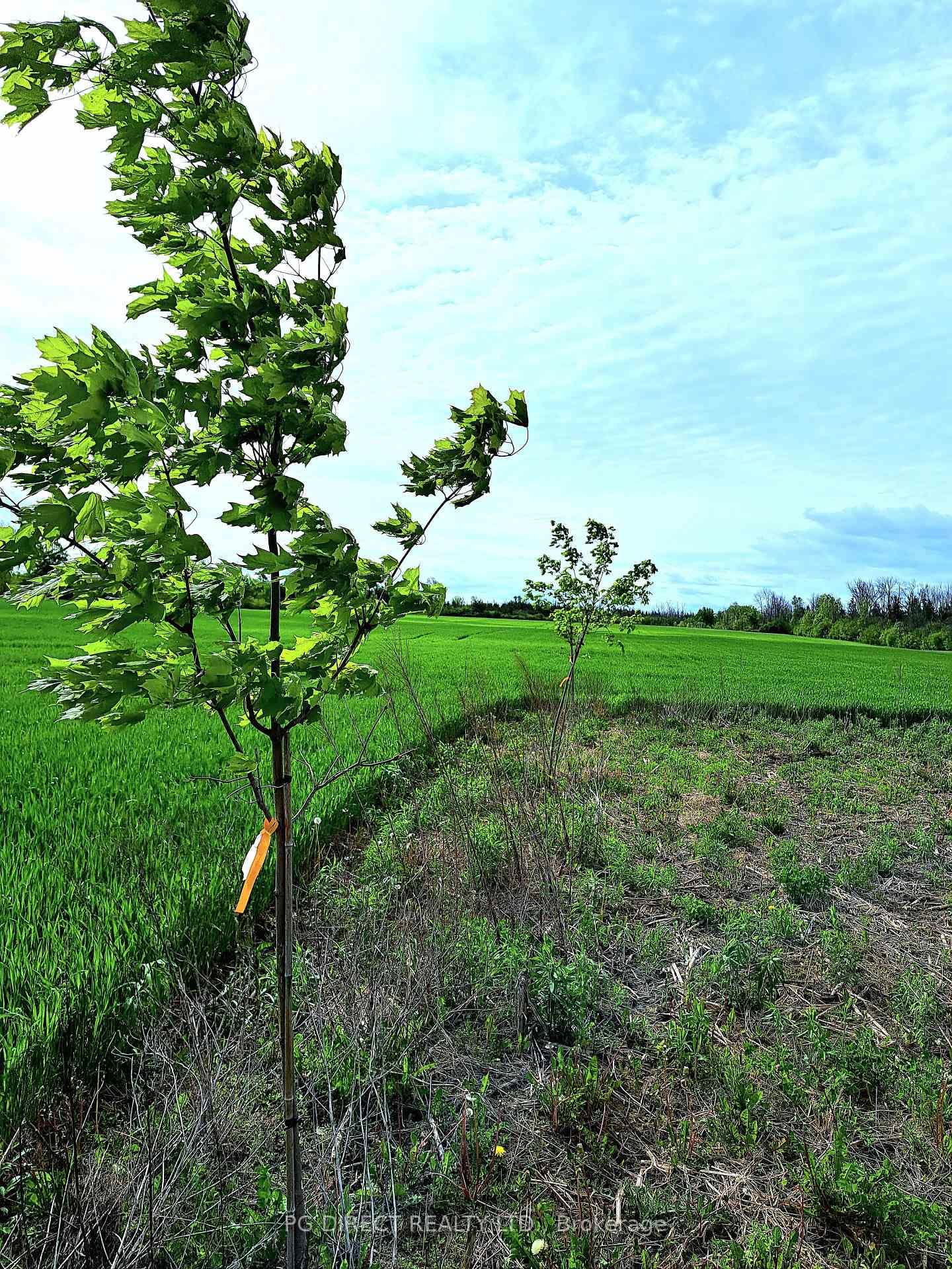 329 County Rd 3 Road • Prince Edward County, ON photo 9