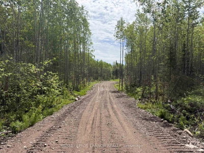 Lot 2 Road 5 South — photo 3