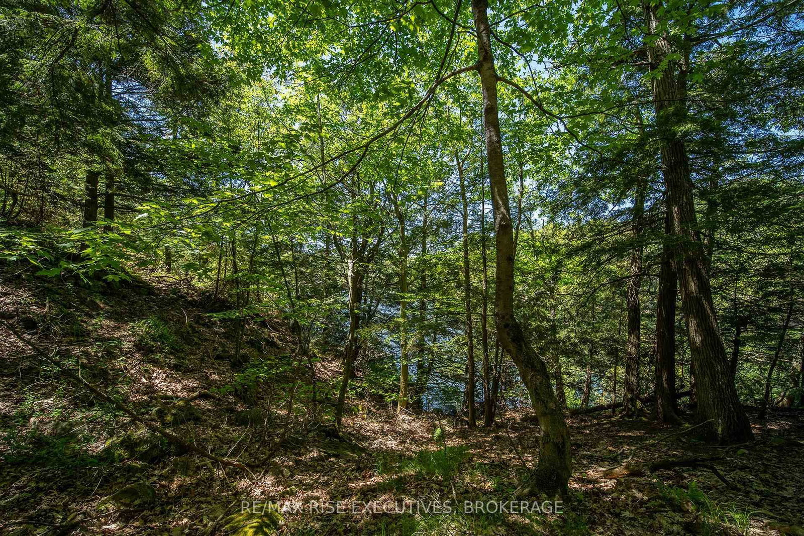 22 The Point Road • Kingston, ON photo 37