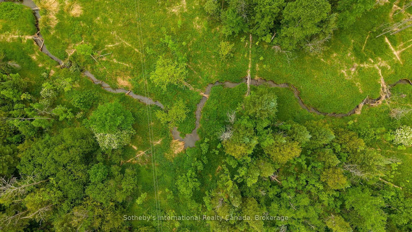 938501 Airport Road • Mulmur, ON photo 39