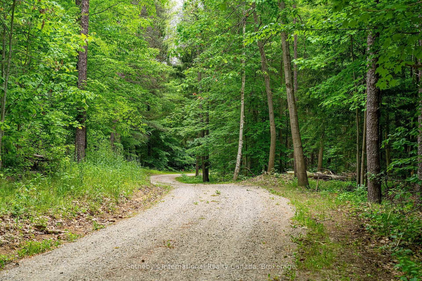 938501 Airport Road • Mulmur, ON photo 4