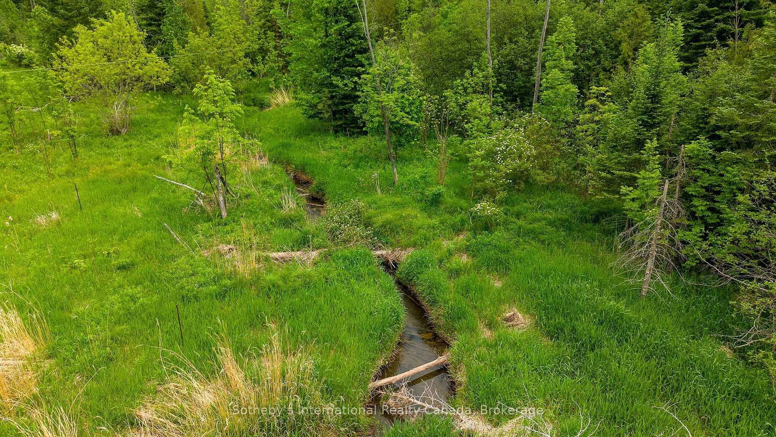 938501 Airport Road • Mulmur, ON photo 40