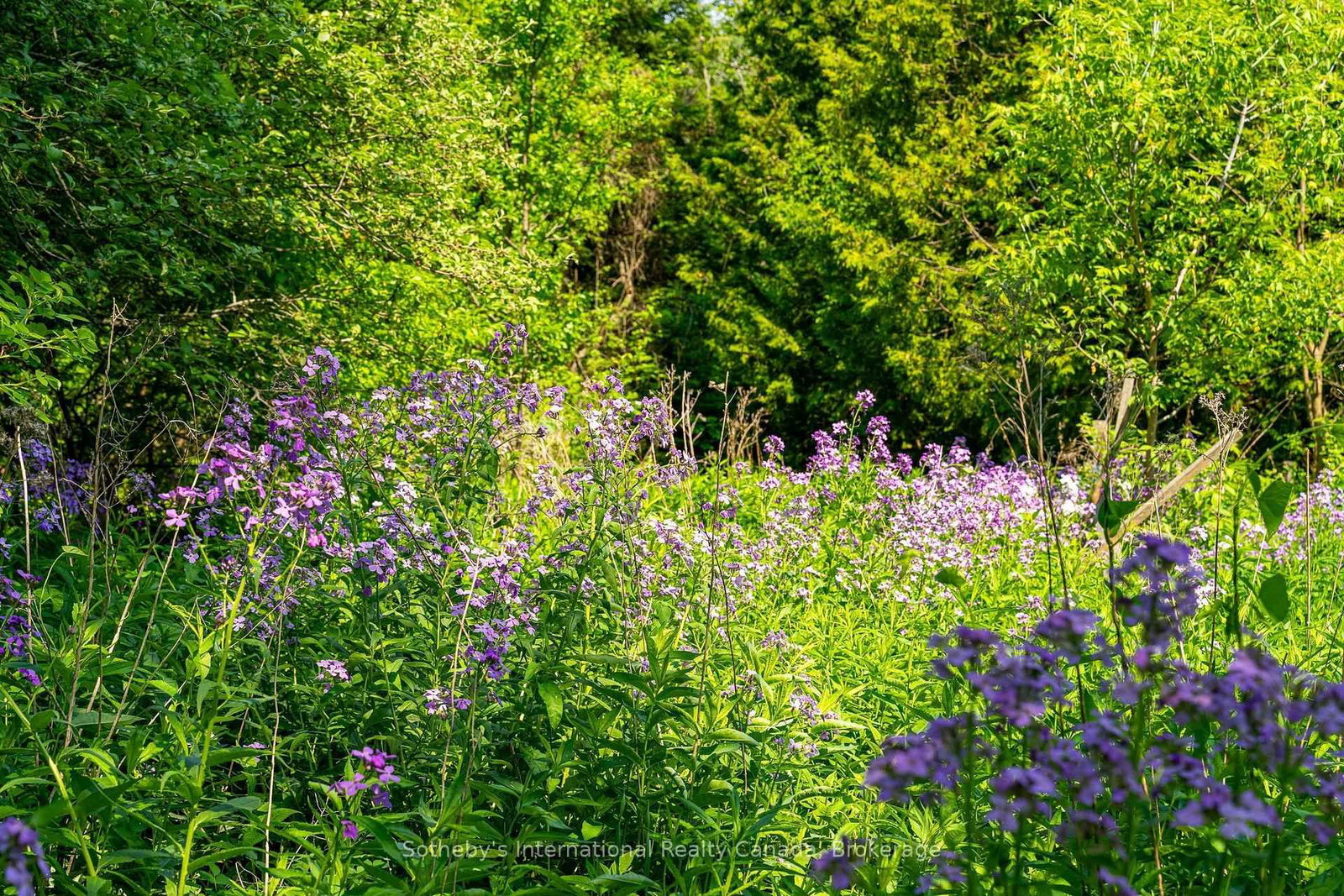 938501 Airport Road • Mulmur, ON photo 47