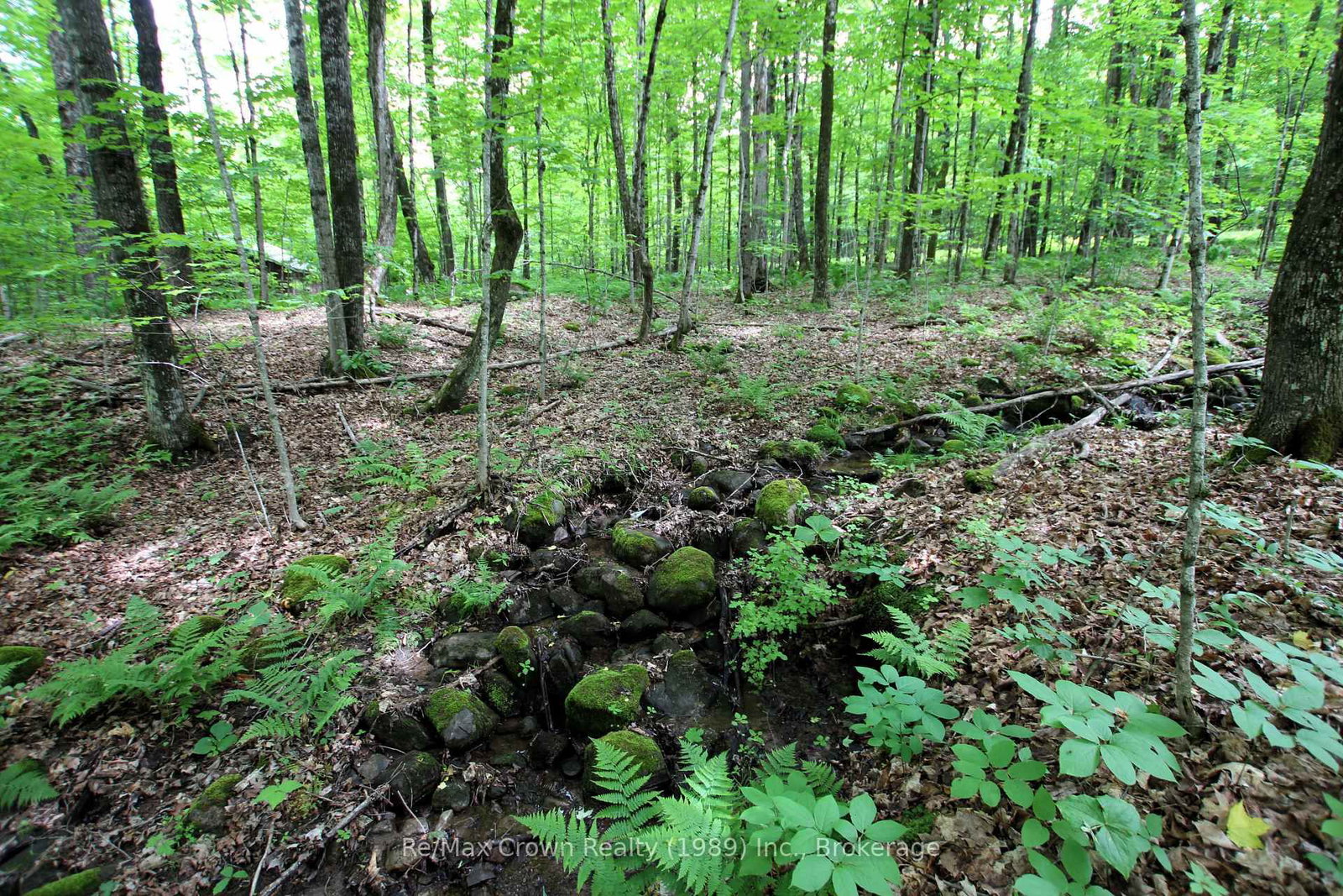 0 Limberlost Point Road • Parry Sound Remote Area, ON photo 10