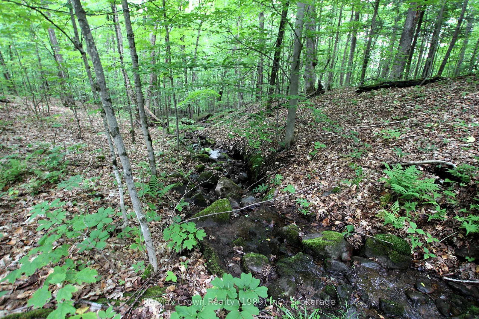 0 Limberlost Point Road • Parry Sound Remote Area, ON photo 11