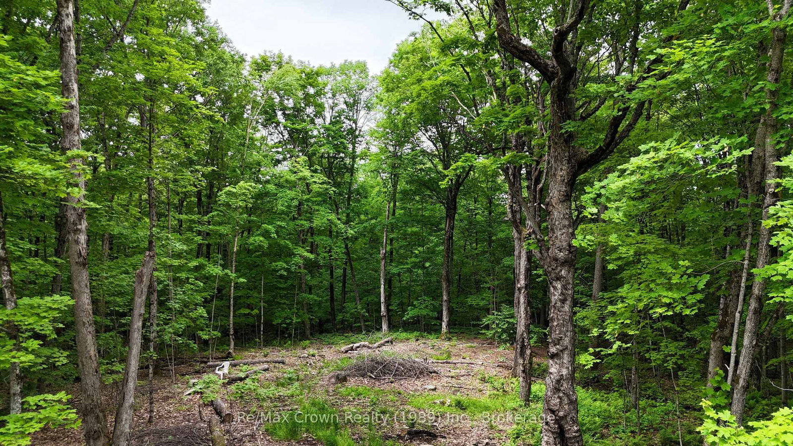 0 Limberlost Point Road • Parry Sound Remote Area, ON photo 12