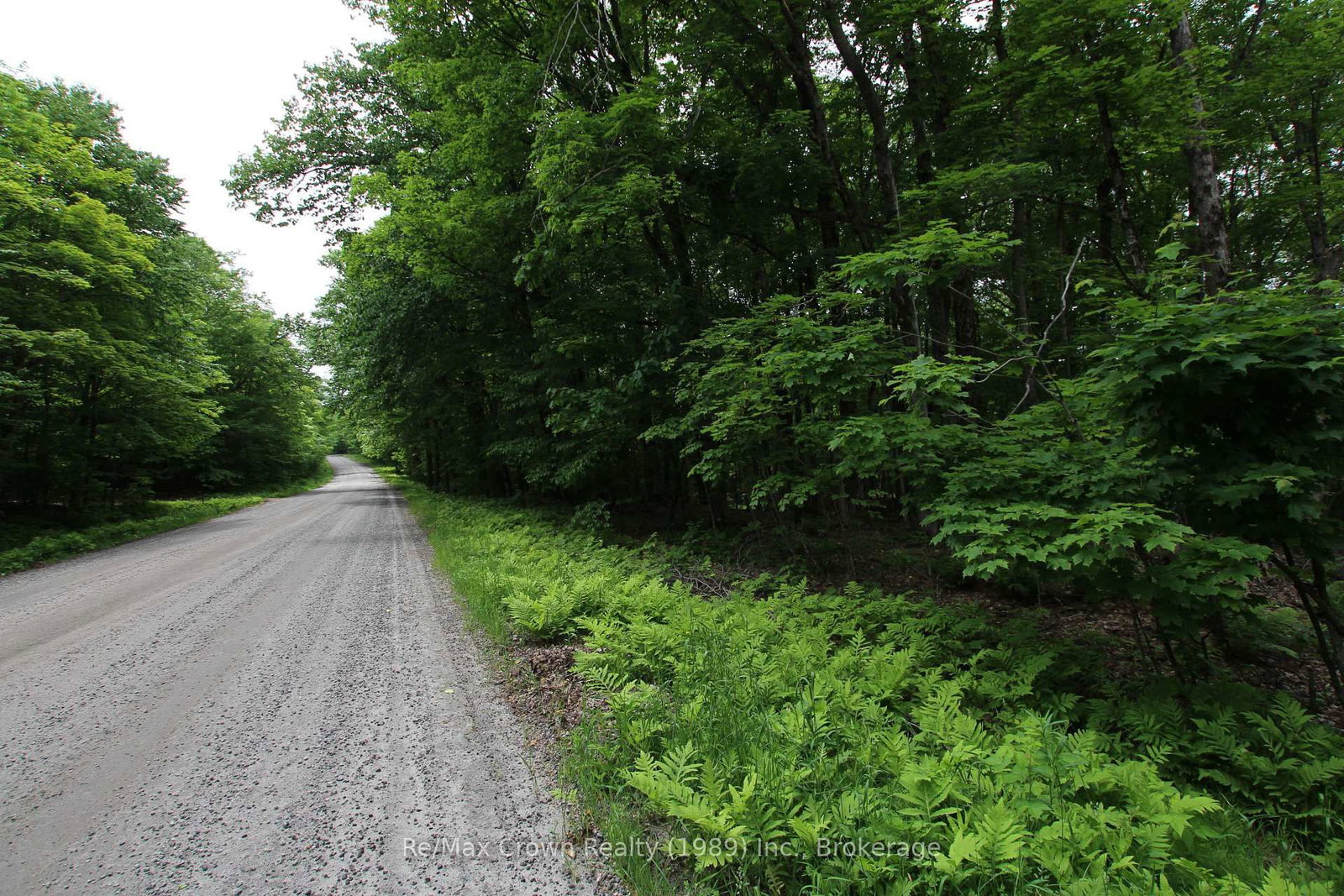 0 Limberlost Point Road • Parry Sound Remote Area, ON photo 16