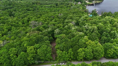 0 Limberlost Point Road — photo 4