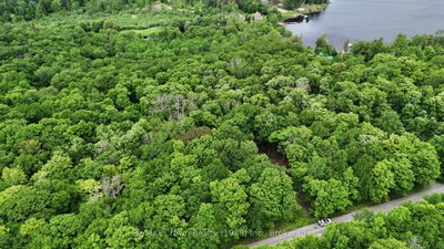 0 Limberlost Point Road — photo 5