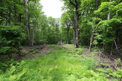 0 Limberlost Point Road — photo 6