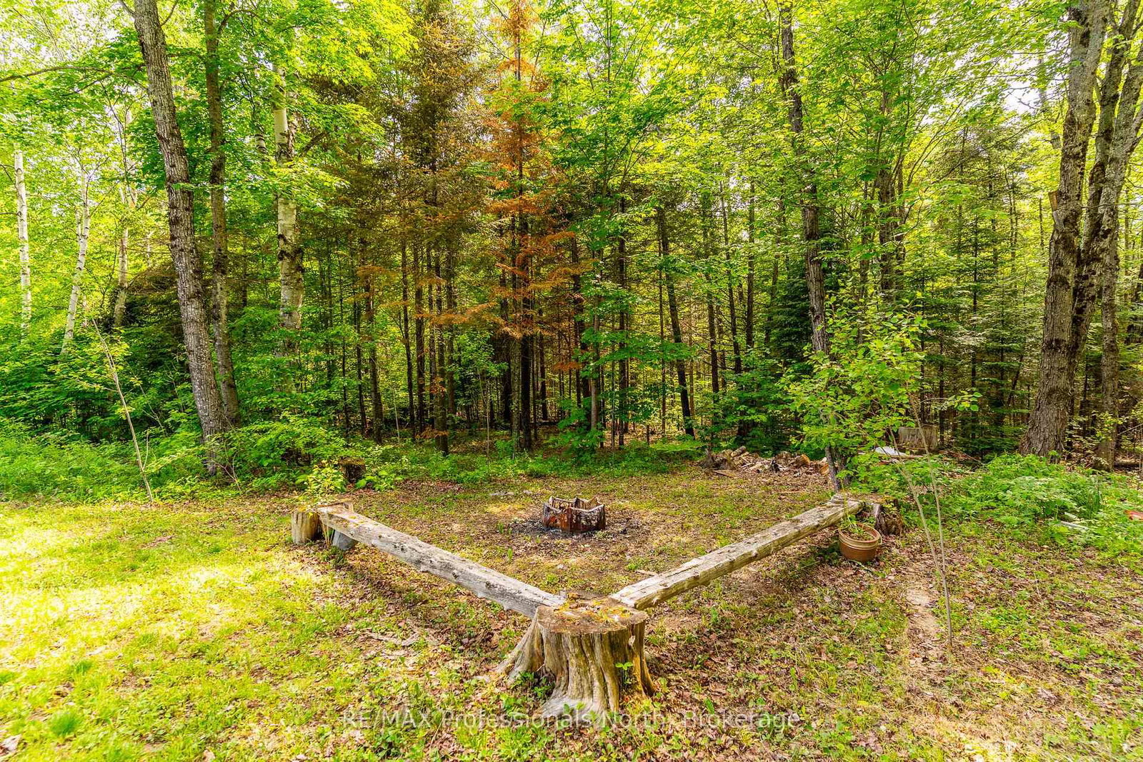 17900 Highway 118 • Highlands East, ON photo 36