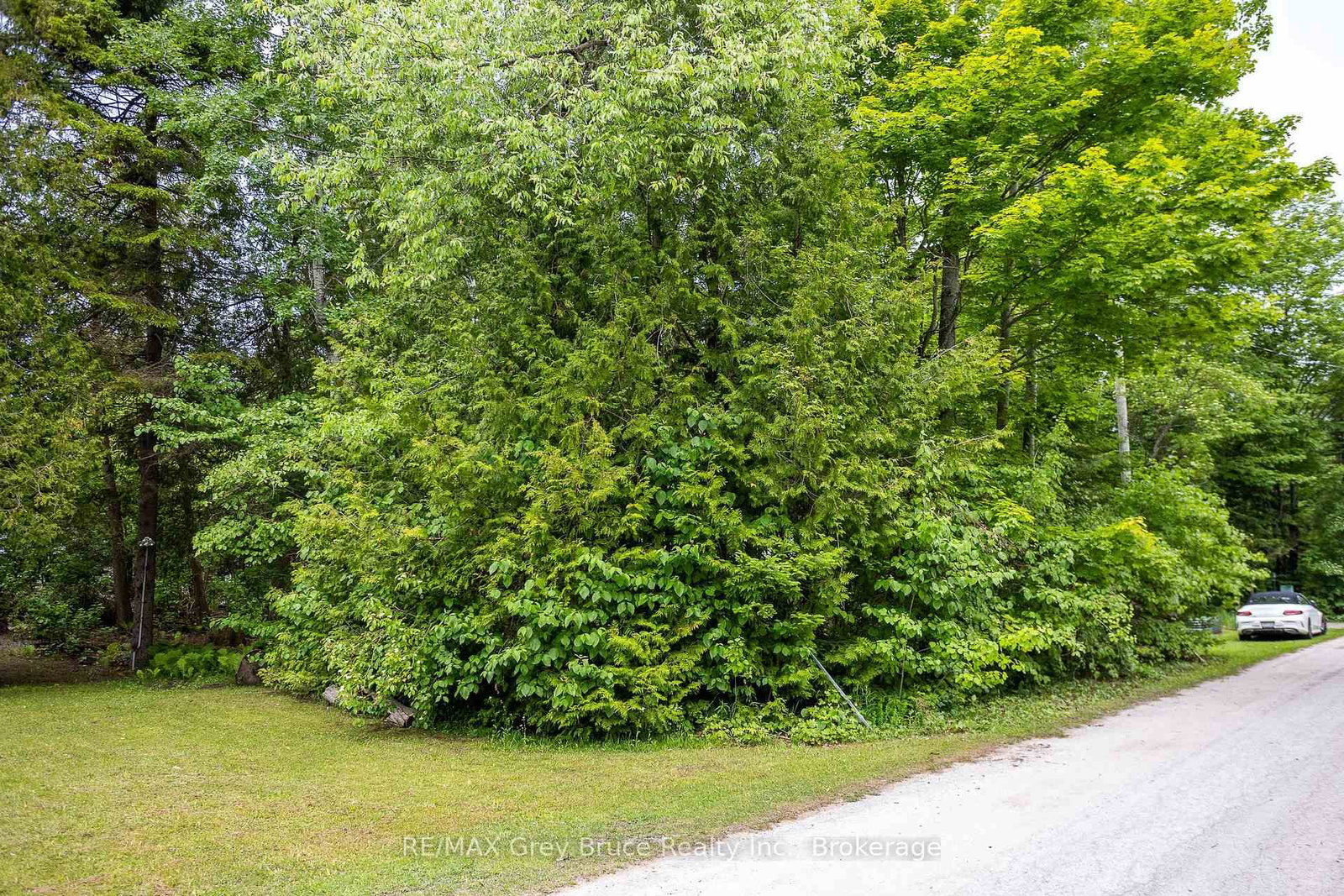 8 Toronto Avenue • South Bruce Peninsula, ON photo 14