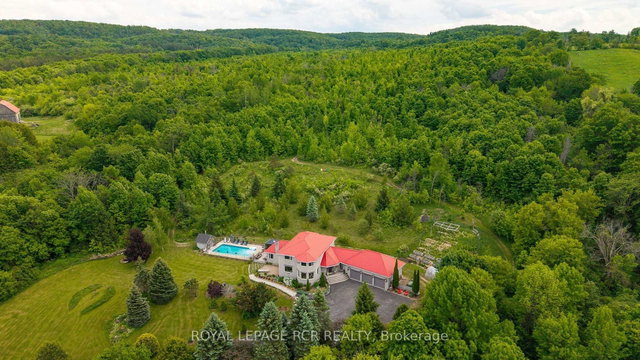 529648 Osprey-The Blue Mountains Townline