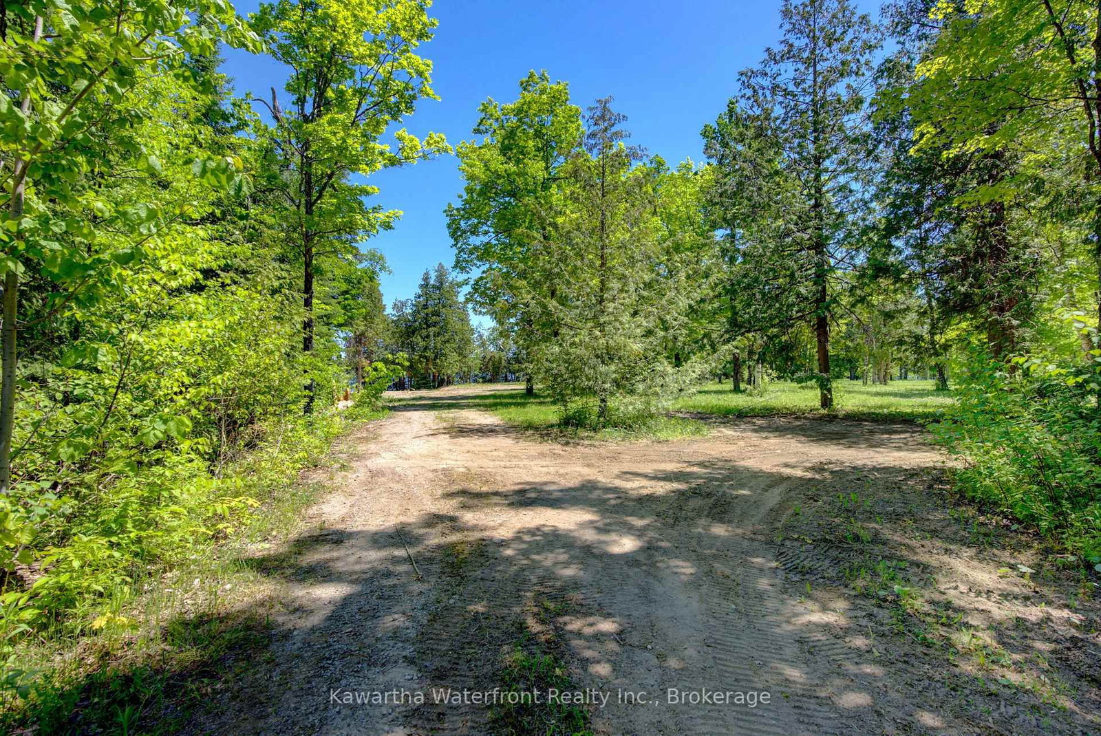 75 Beaver Drive • Kawartha Lakes, ON photo 11