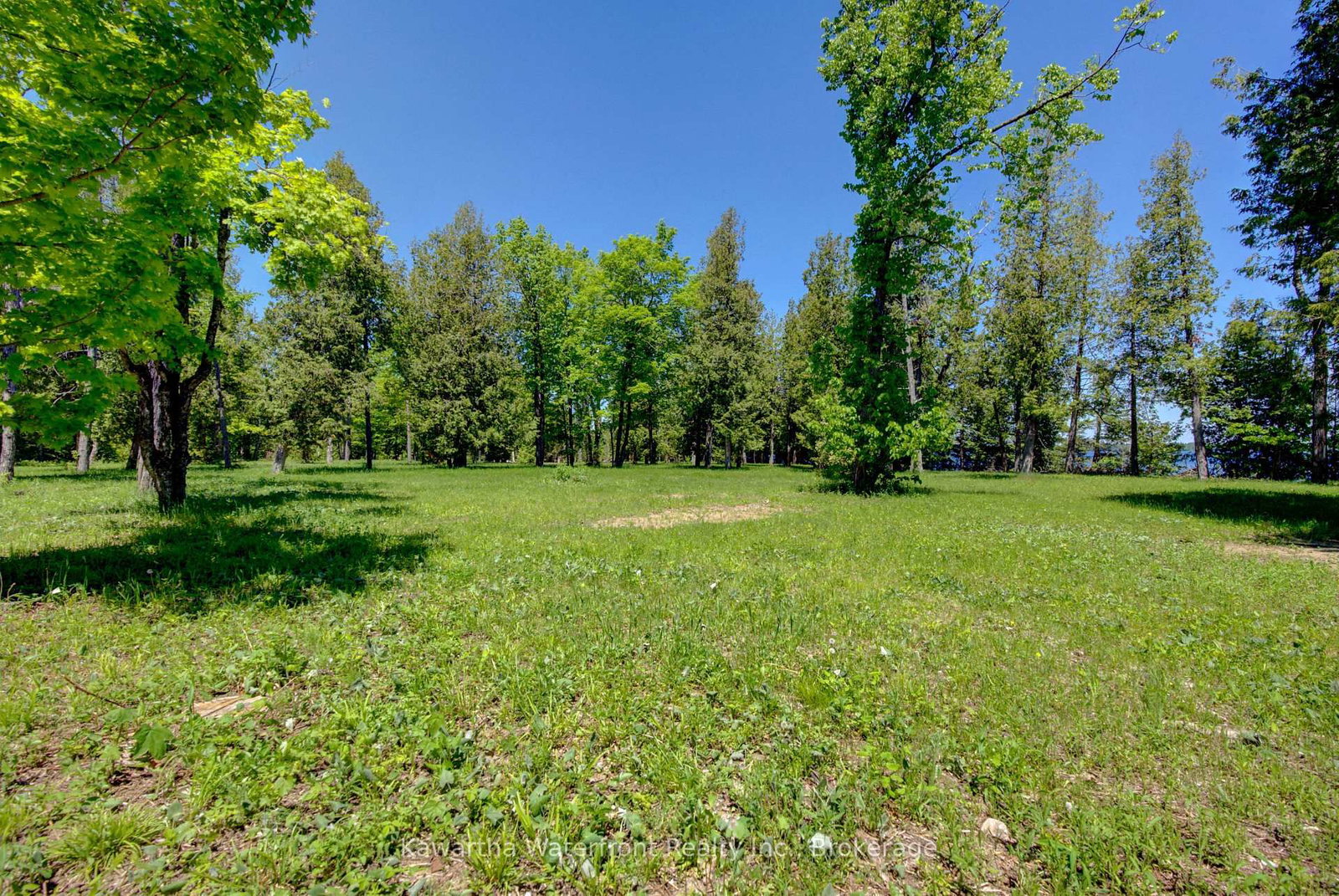 75 Beaver Drive • Kawartha Lakes, ON photo 9