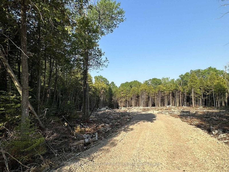42 Trillium Crossing
