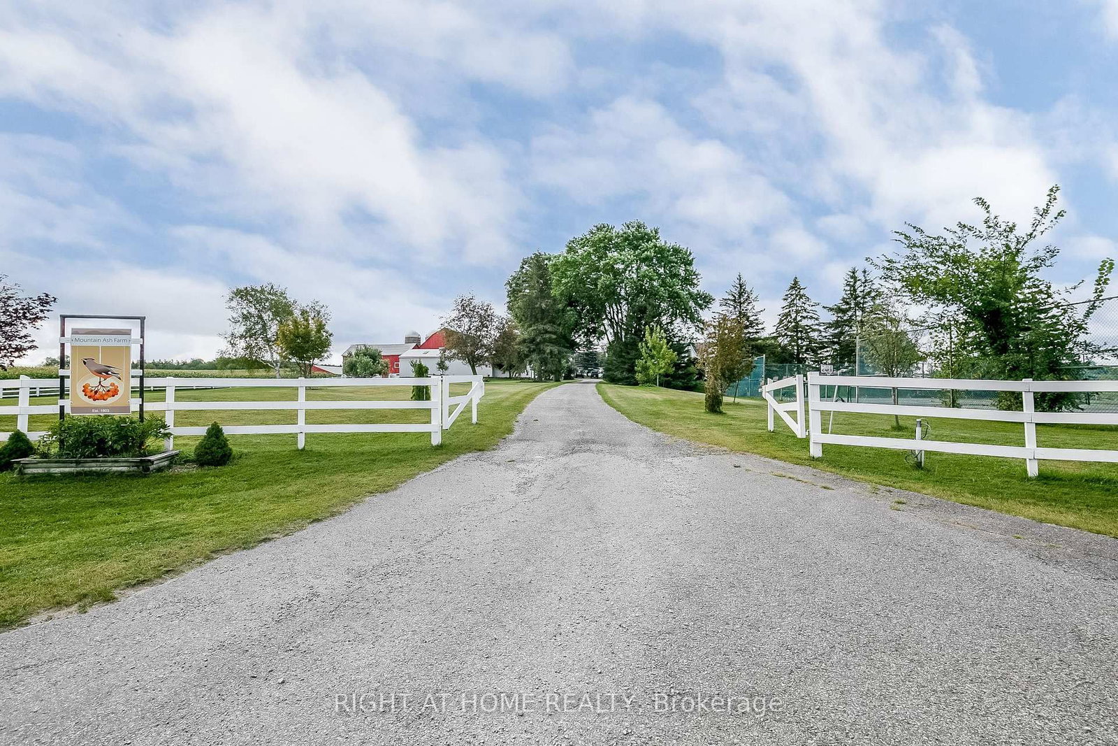 828350 Mulmur Nottawasaga Townline • Mulmur, ON photo 4