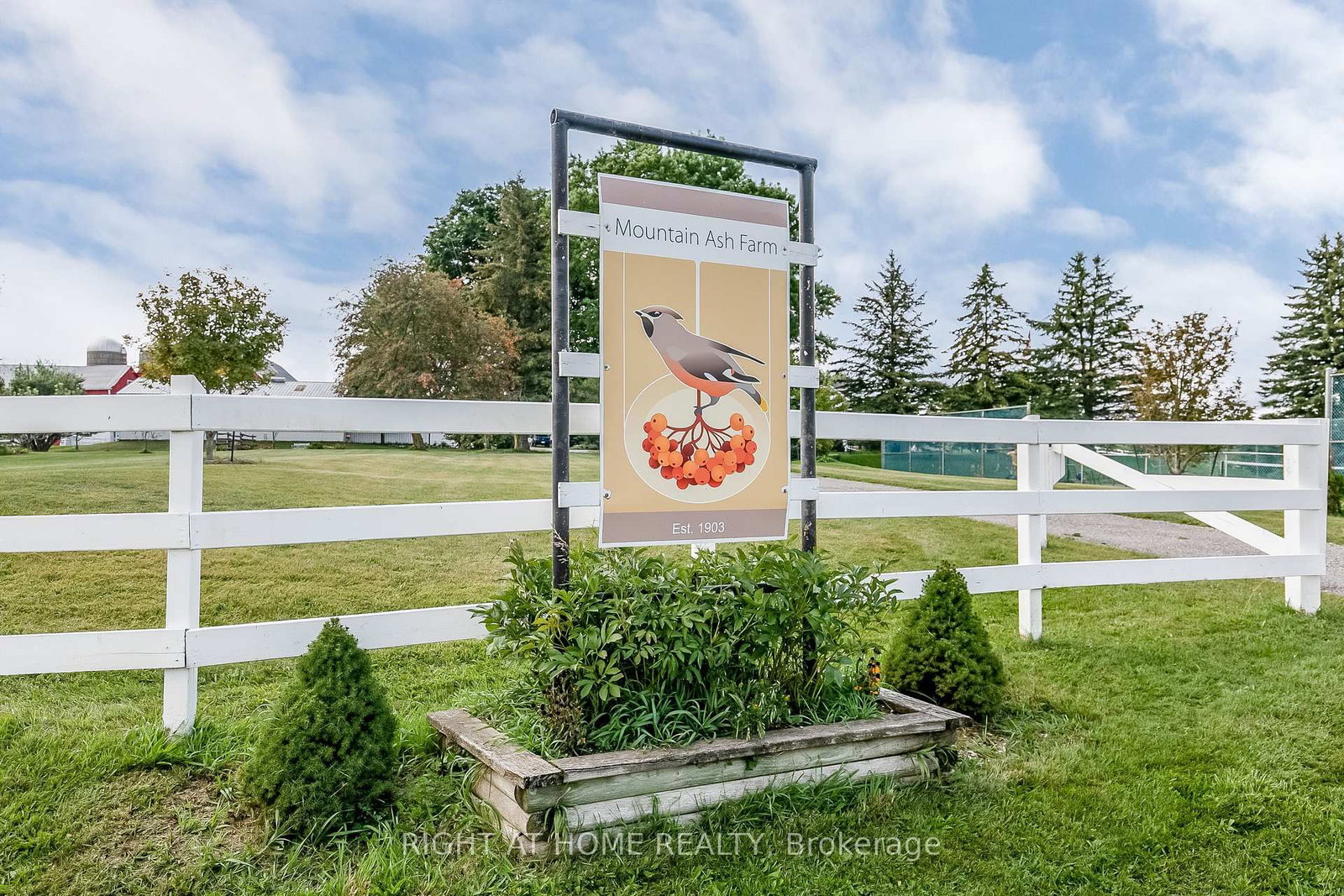 828350 Mulmur Nottawasaga Townline • Mulmur, ON photo 5