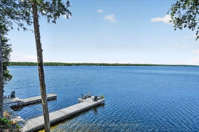 1973 Fiddlers Lane • Douro-Dummer, ON photo 6