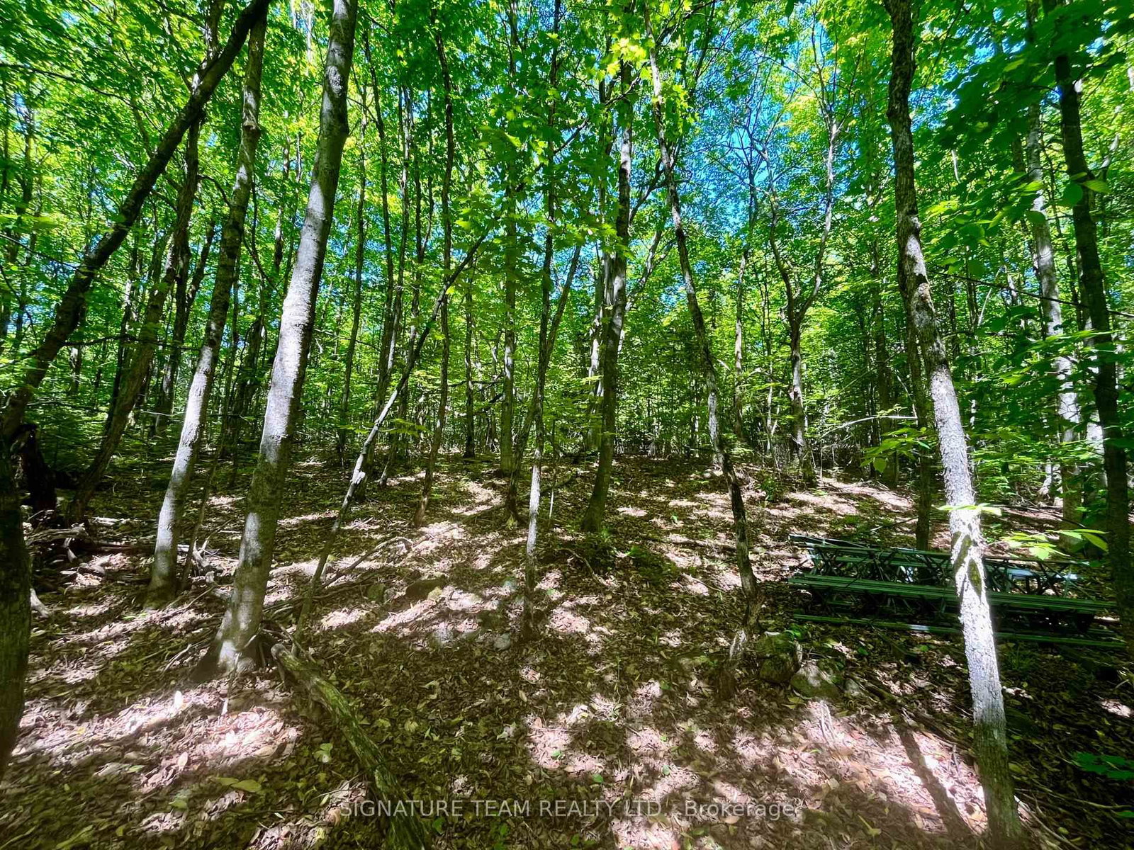 Pt Lt's 5 & 6 Foymount Road • Foymount, ON photo 19