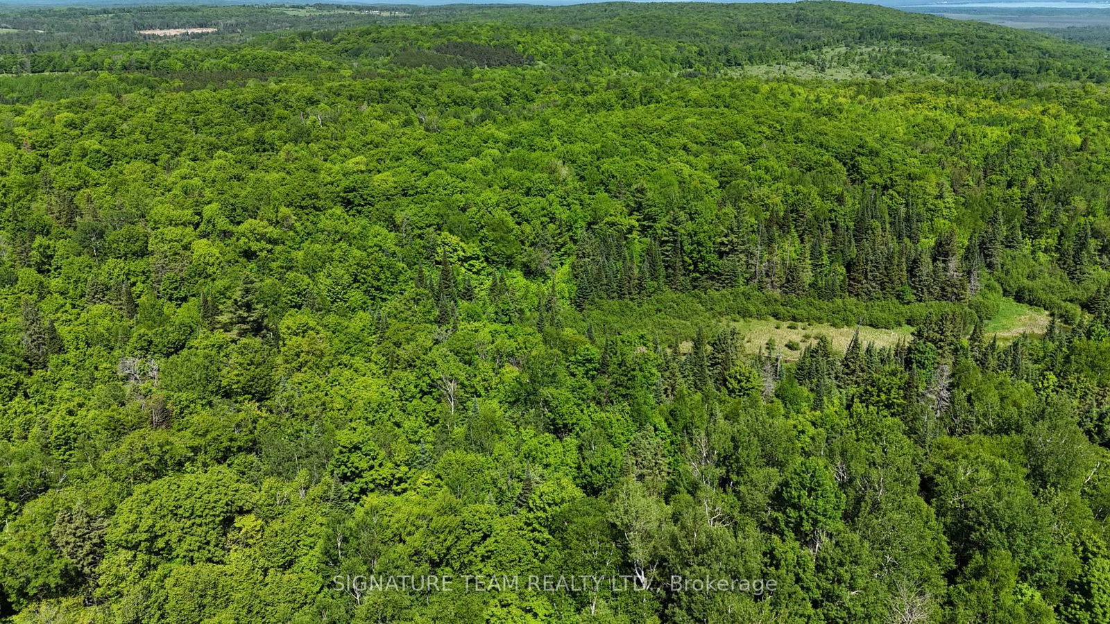 Pt Lt's 5 & 6 Foymount Road • Foymount, ON photo 29