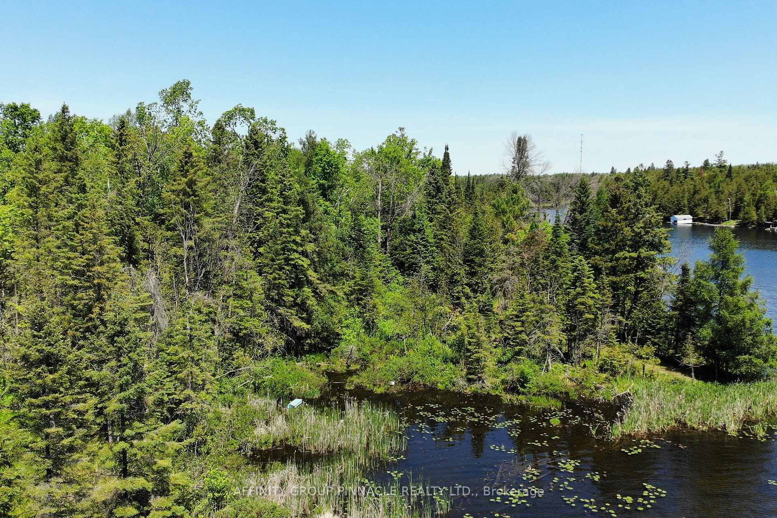 0 Pearce Road • Kawartha Lakes, ON photo 22