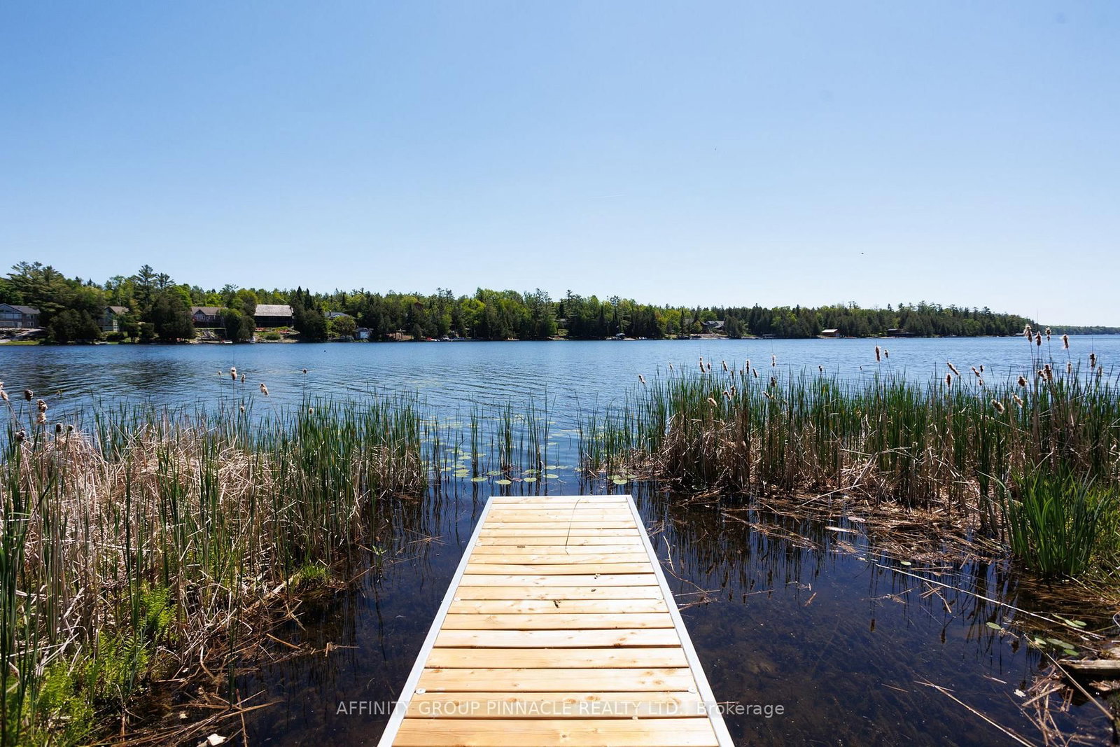 0 Pearce Road • Kawartha Lakes, ON photo 28