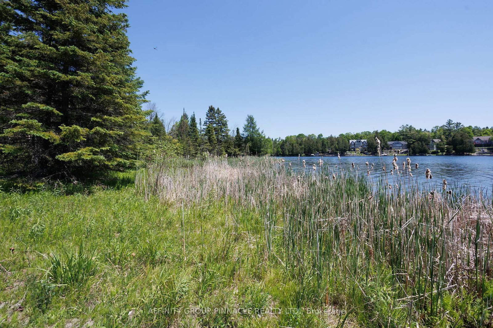 0 Pearce Road • Kawartha Lakes, ON photo 29