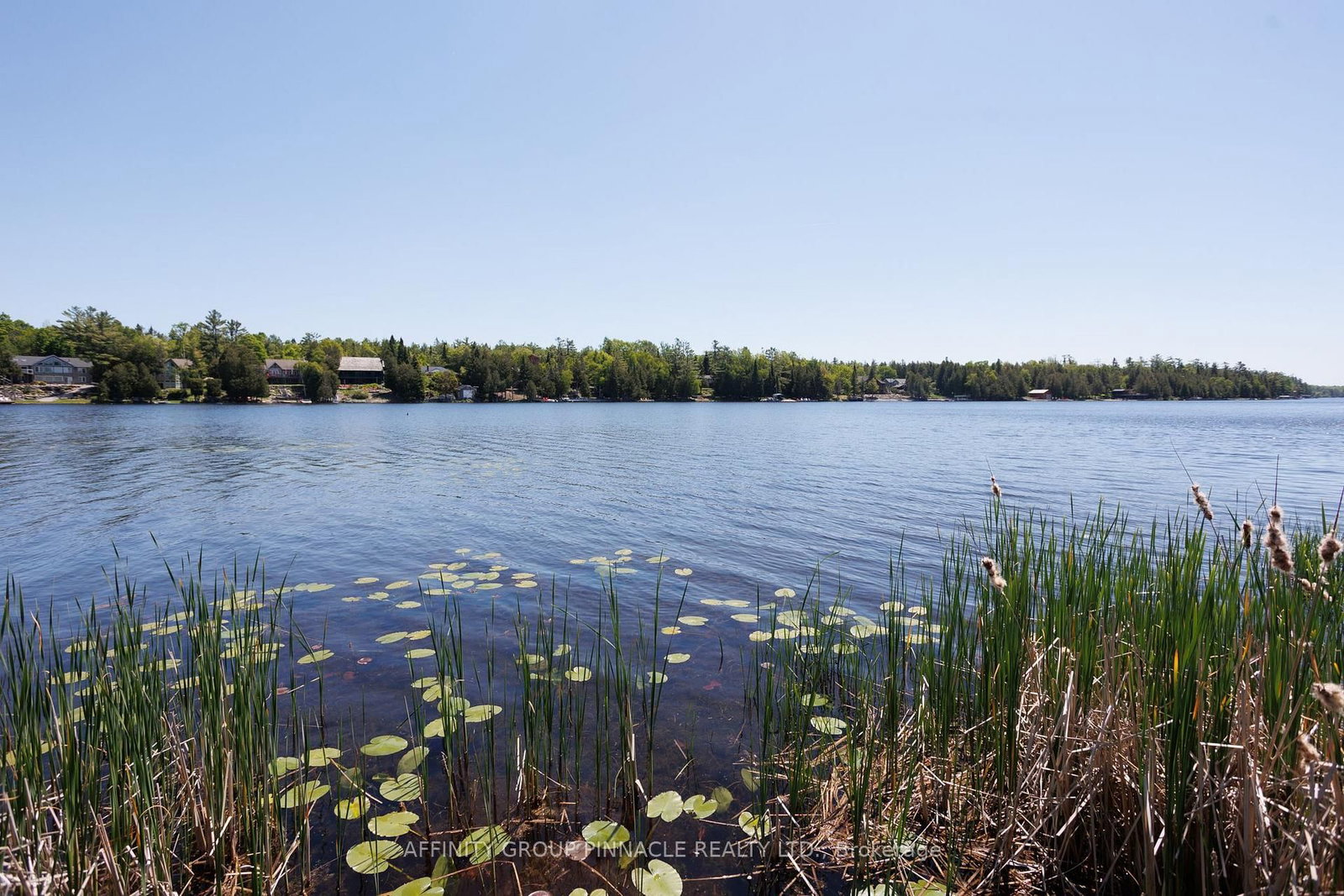 0 Pearce Road • Kawartha Lakes, ON photo 31