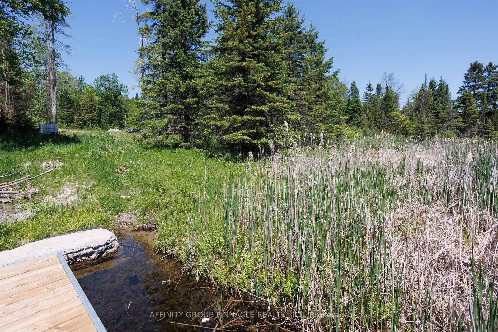 0 Pearce Road • Kawartha Lakes, ON photo 33