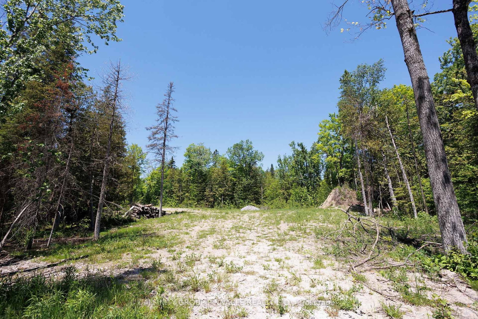 0 Pearce Road • Kawartha Lakes, ON photo 34