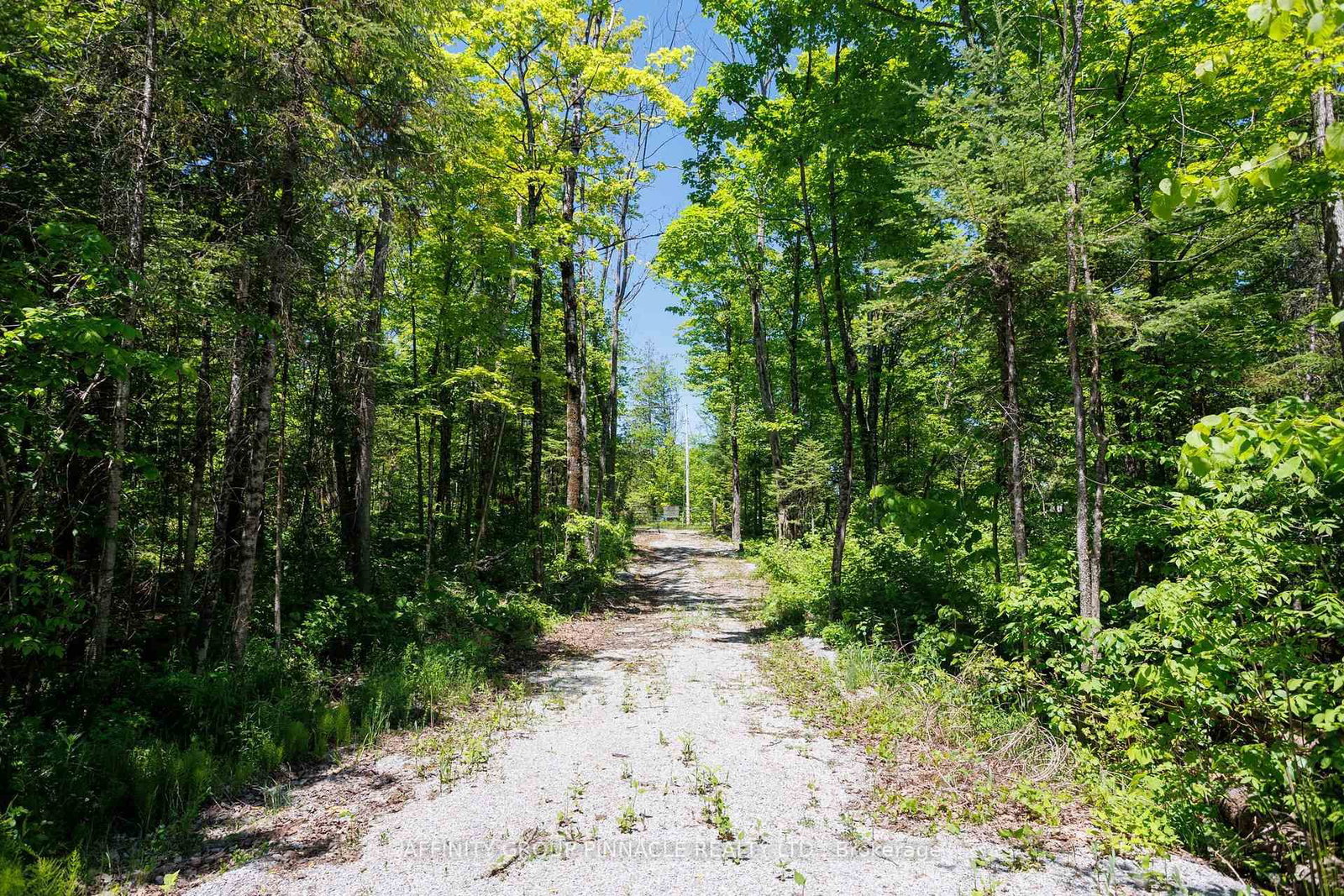 0 Pearce Road • Kawartha Lakes, ON photo 35