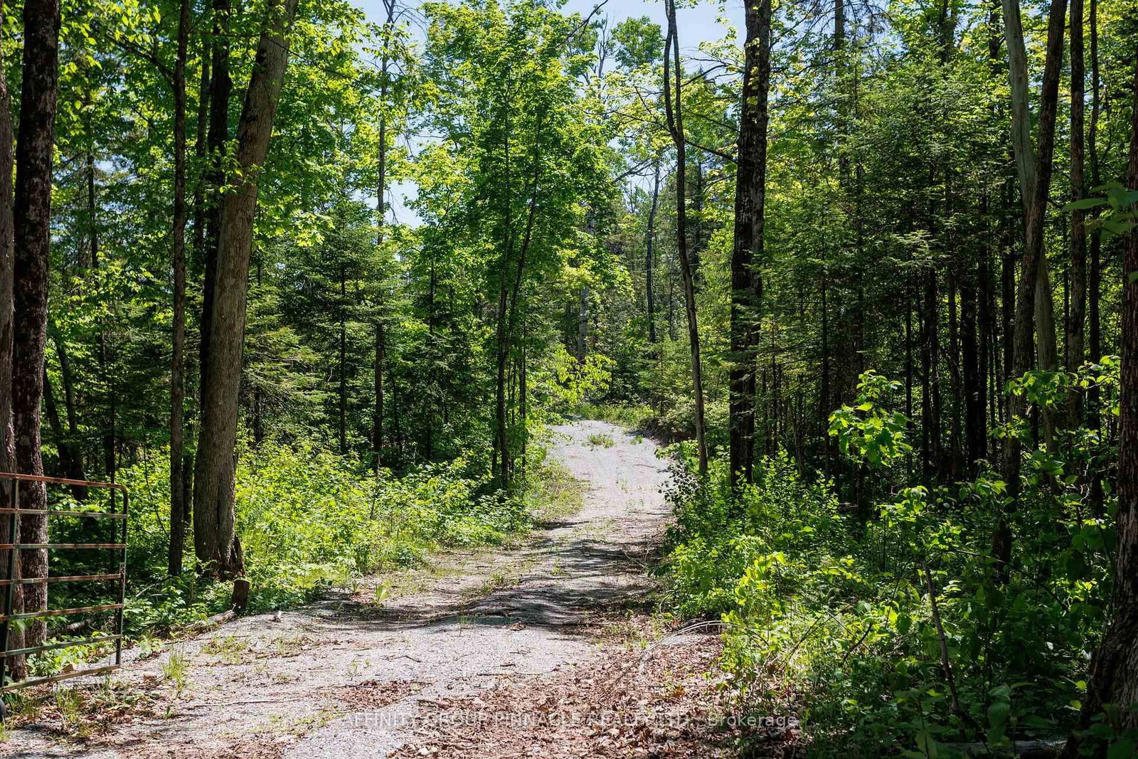 0 Pearce Road • Kawartha Lakes, ON photo 36